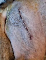 354040231_600255752214265_2170044447995320969_n