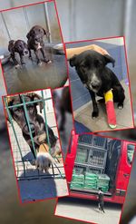 366162396_6701006649987588_3193039074150774062_n