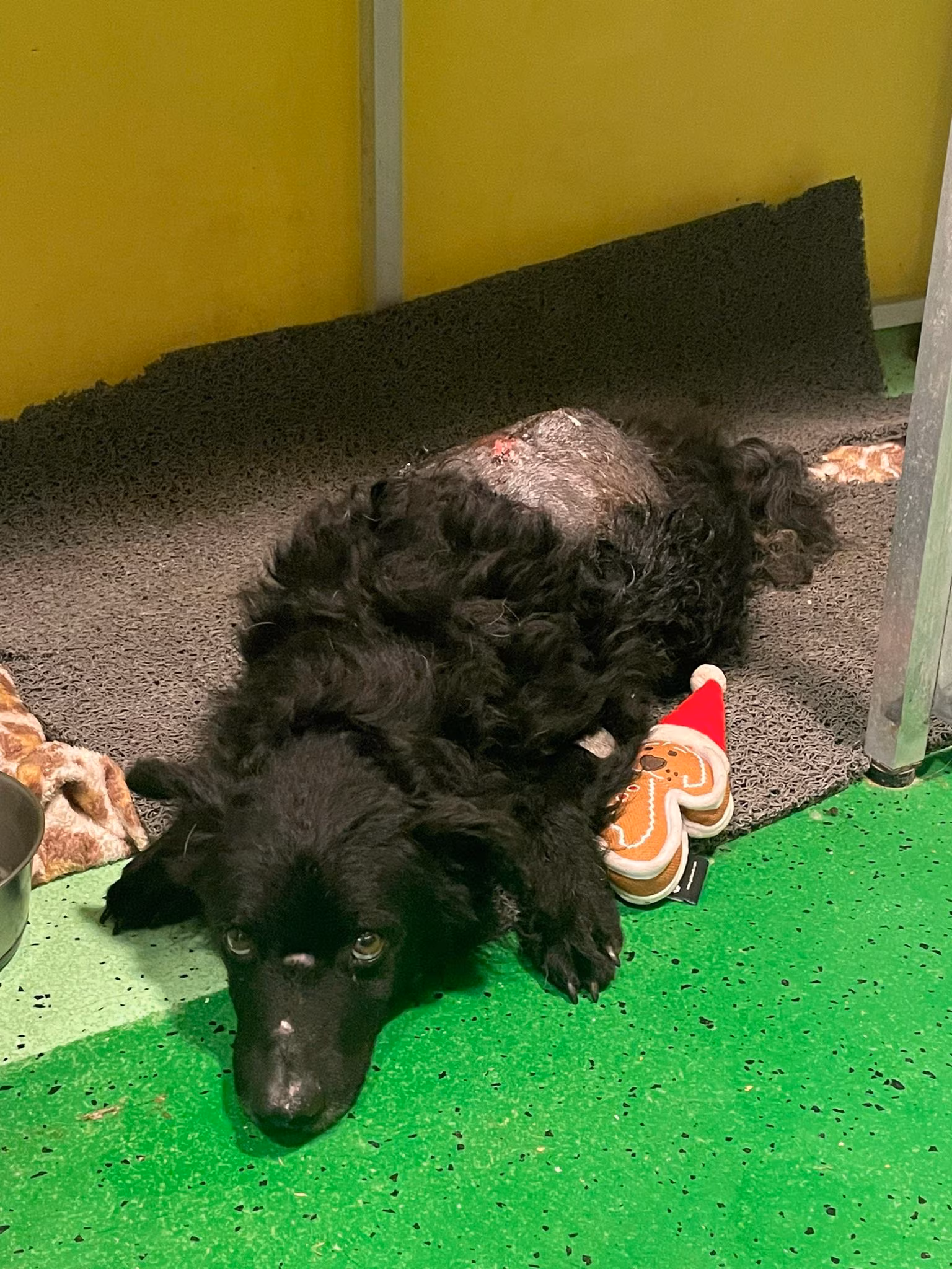 Hope in der Klinik Zagreb